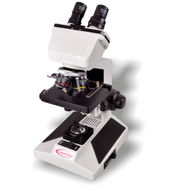 Buy Labovision Binocular Compound Microscope Educational Model Coax